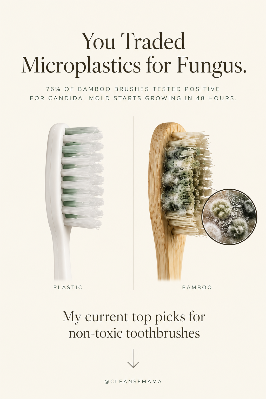 Comparison of a plastic toothbrush and a bamboo toothbrush with mold growth, illustrating why bamboo toothbrushes can harbor fungus in humid climates